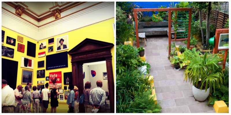 Garden design tips #4 The bright yellow walls filled the room with fun, much like the blues and yellows in our Frida Kahlo garden