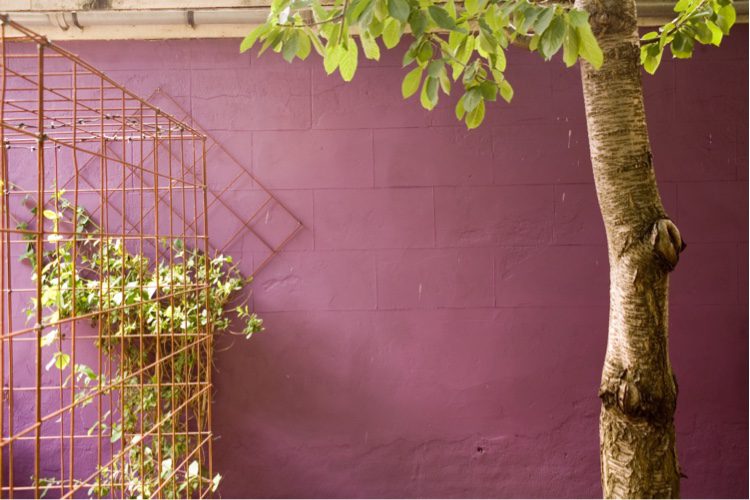 An unslightly wall looks great painted in a deep aubergine