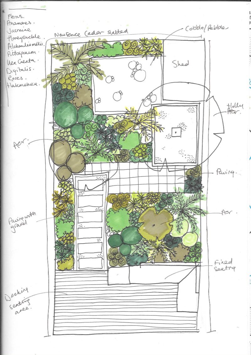 Garden sketch for a calm sanctuary garden in Walthamstow 
