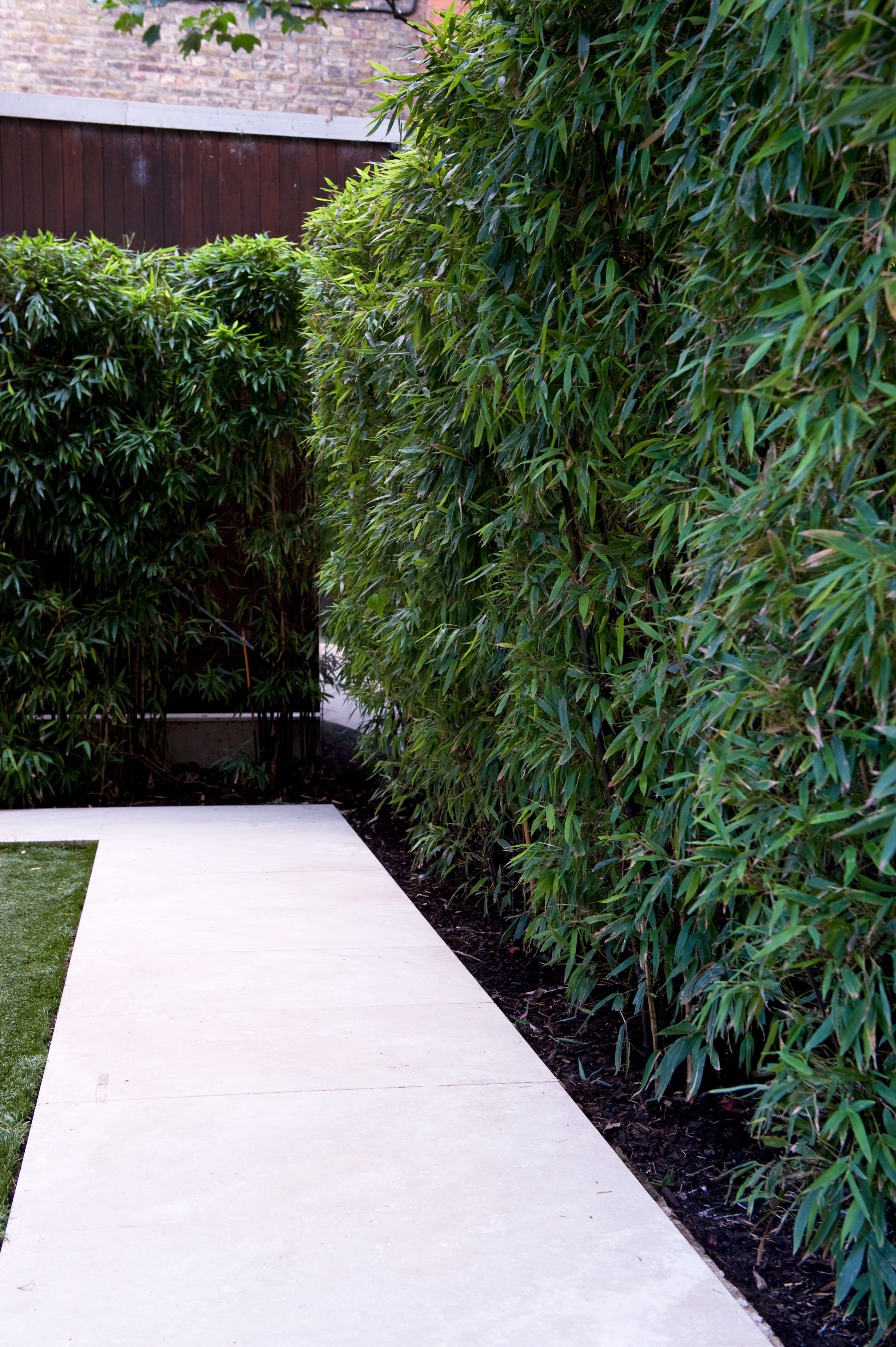 Hedges can give privacy - private garden design